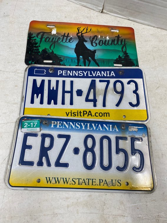 3-Metal Licenses Plates