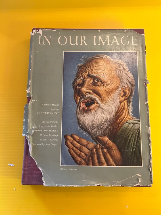In Our Image book