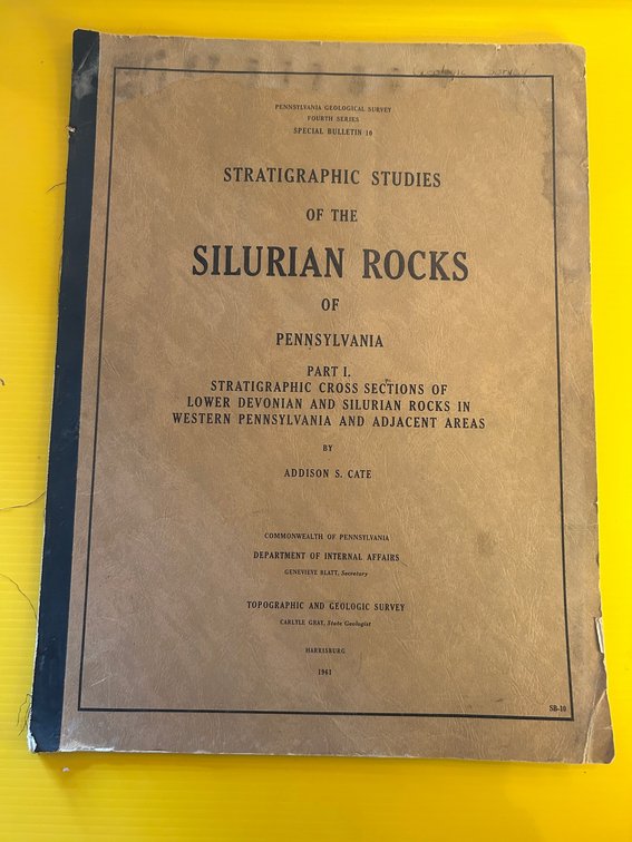 Stratigraphic Studies of the Silurian Rocks