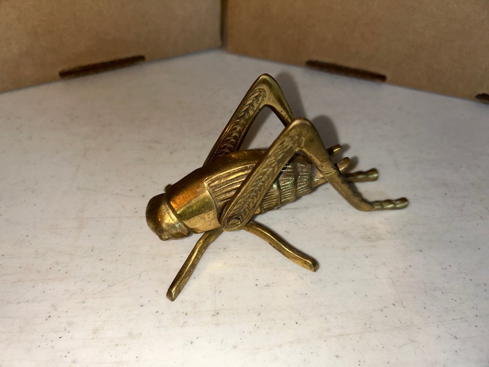 Brass colored cricket