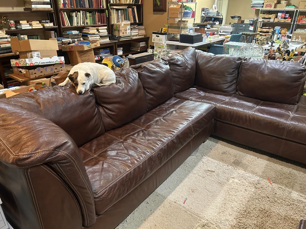 2 Piece sectional sofa-76" x 60"