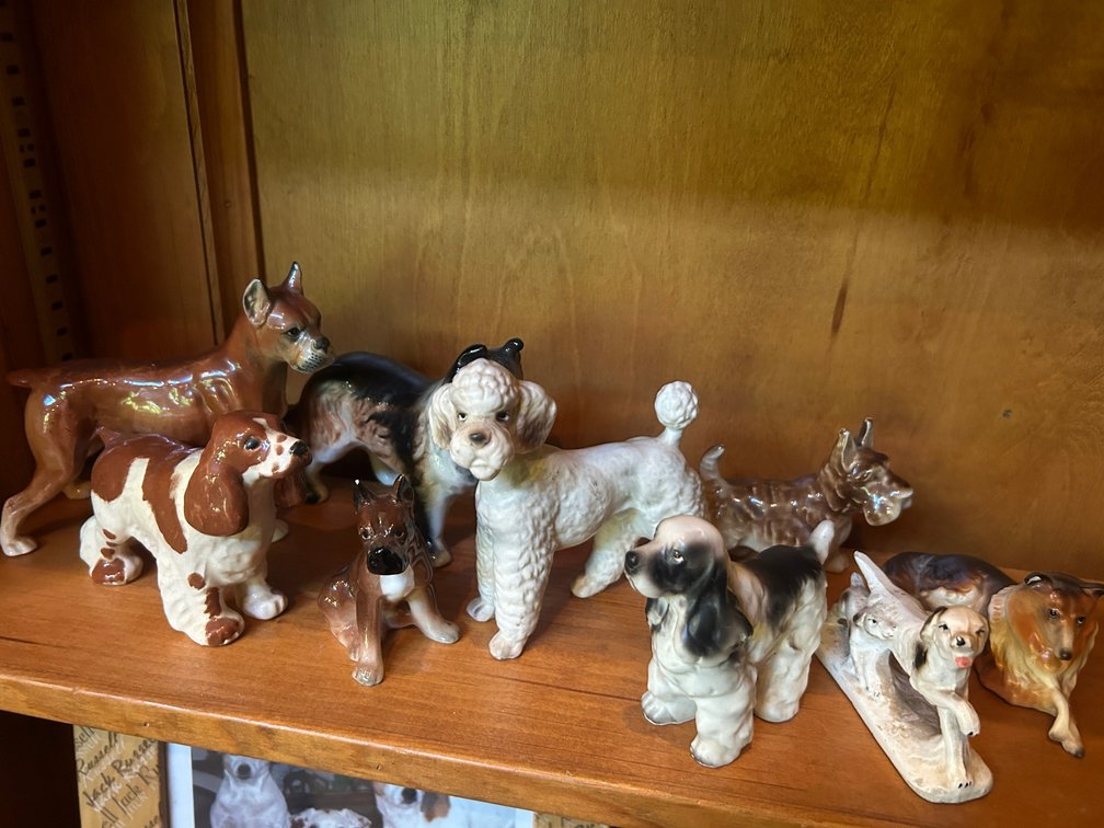 China dogs