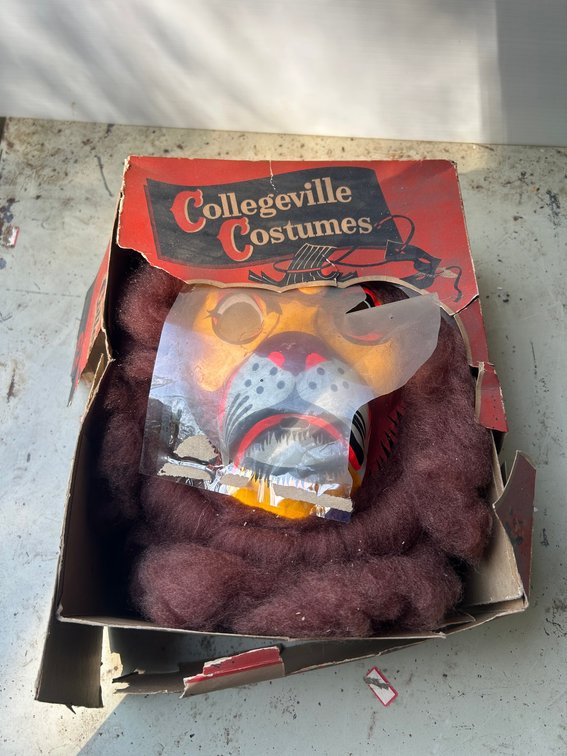 Vintage Collegeville lion costume with plastic face and mane-lid to box is heavily damaged-costume is intact