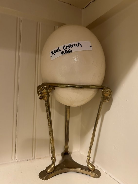Blown Ostrich egg