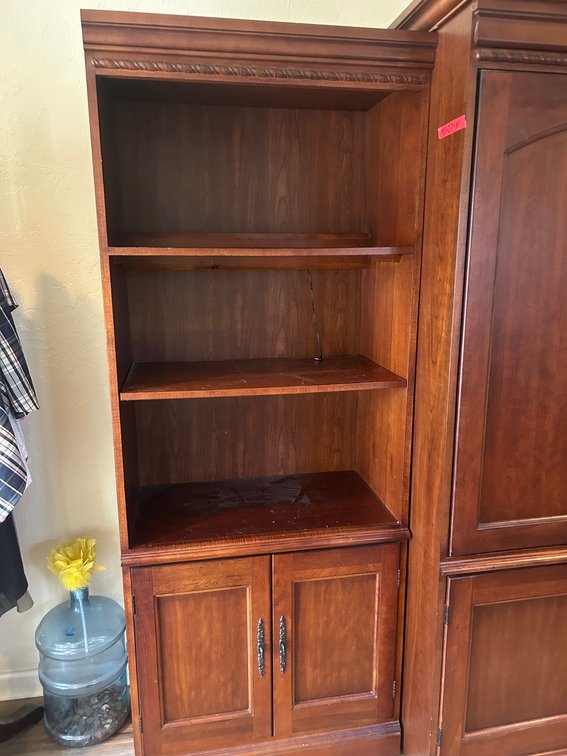 Bookshelf with doors