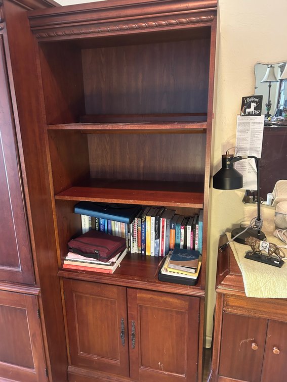 Bookshelf with doors