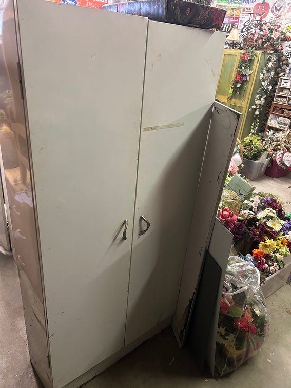 Metal wardrobe-style cabinet