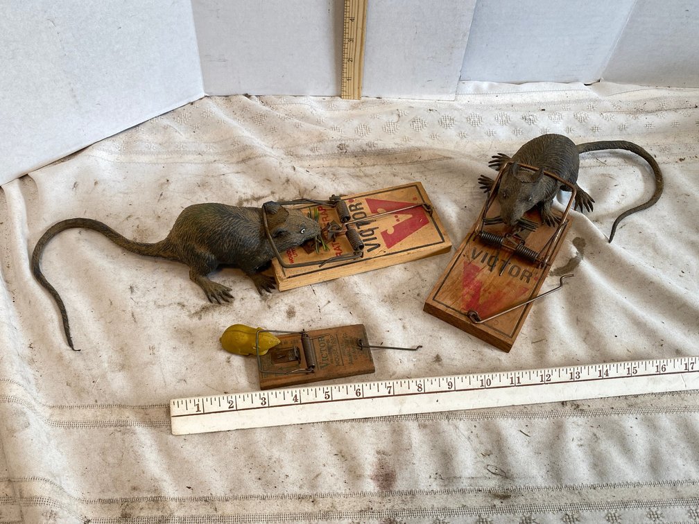 Victor Rat Traps with Rubber Rats