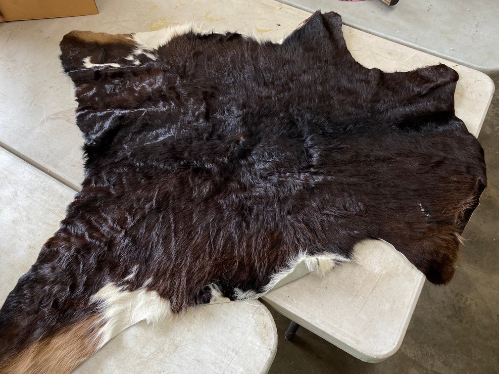Animal Hide