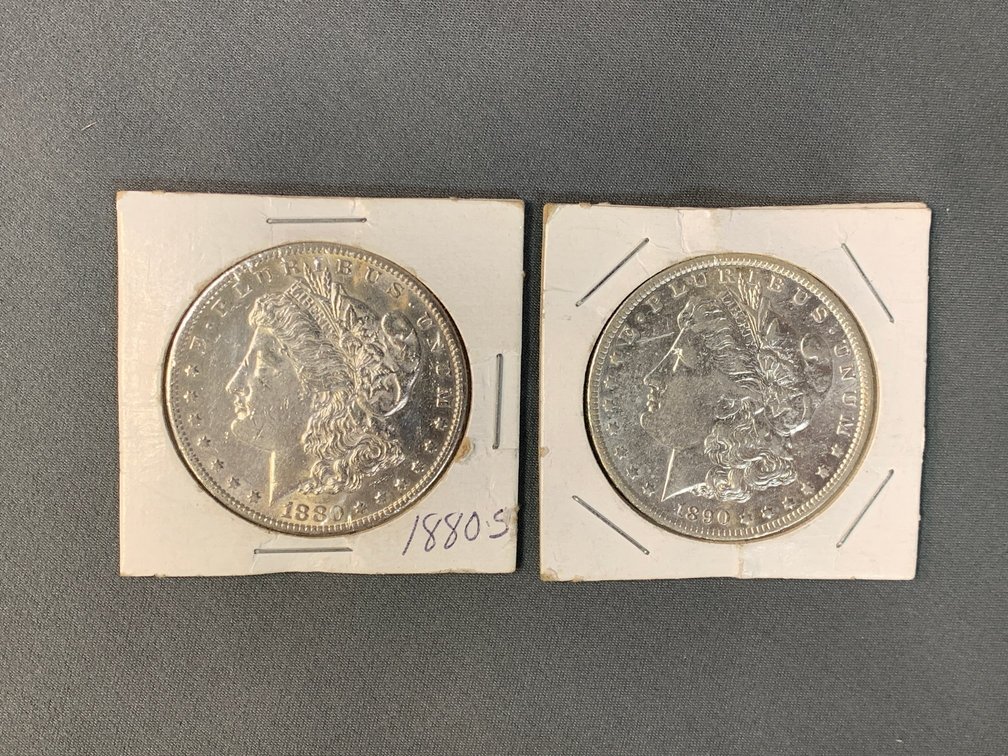 (2) Morgan Dollars