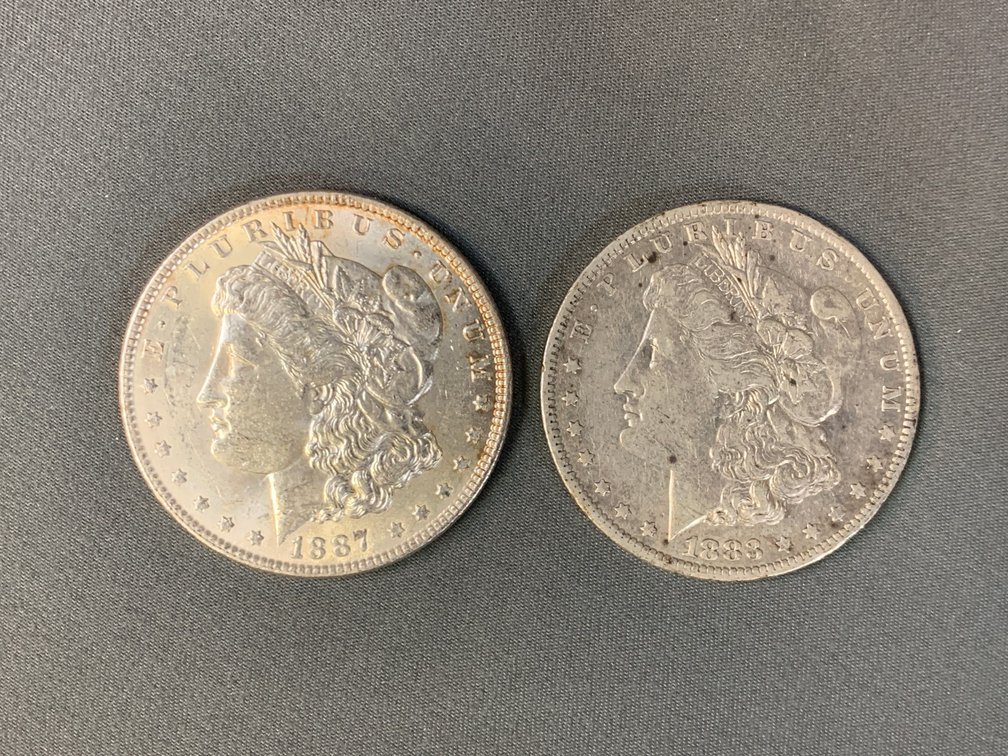 (2) Morgan Dollars