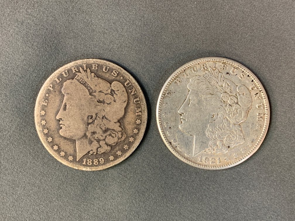 (2) Morgan Dollars