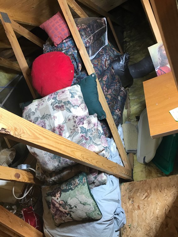 Large collection of outdoor/indoor cushions and pillows