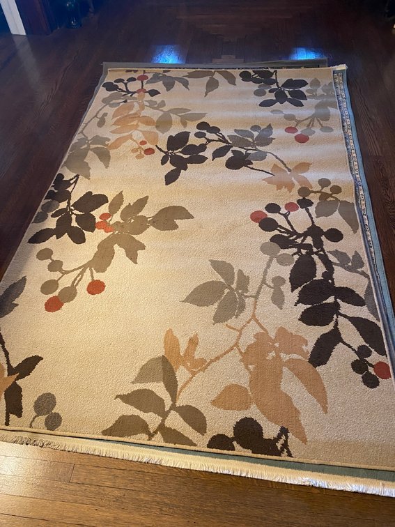 FLOOR RUG MEASURES 96 INCHES LONG BY 61 INCHES WIDE