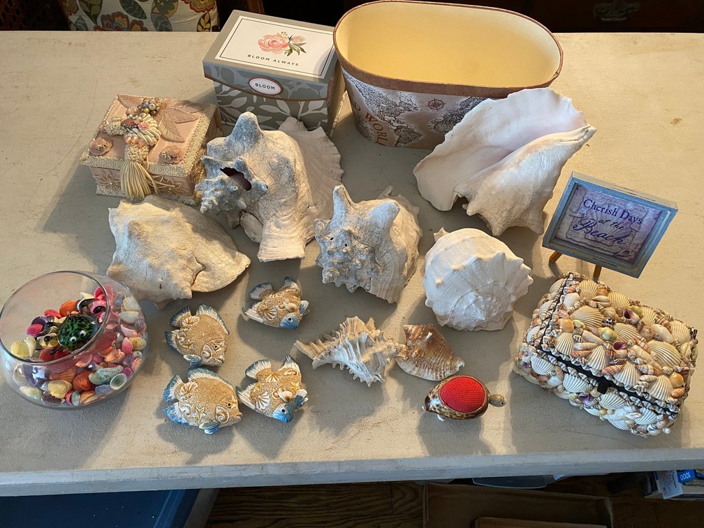 COLLECTION OF BEACH-THEMED ITEMS