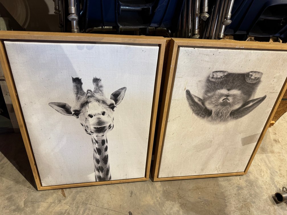 Rabbit and giraffe canvas prints