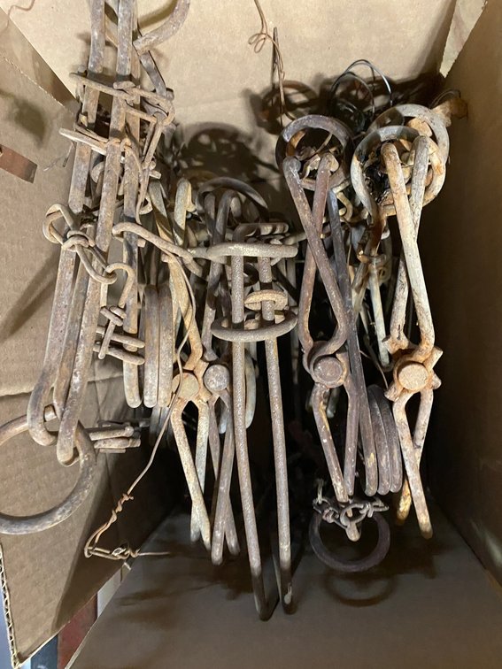 No. 330 Conibear Traps