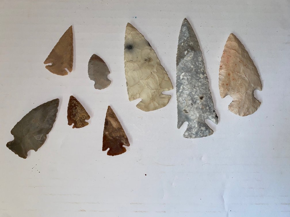 Eight Flint Arrowheads
