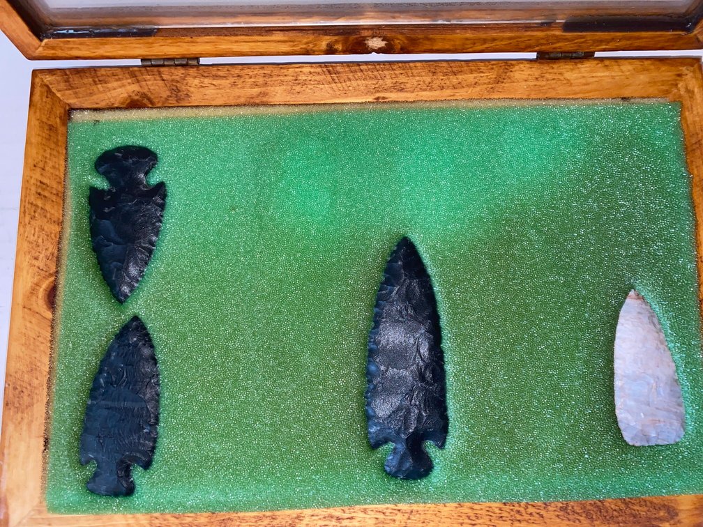 Arrowheads with Case