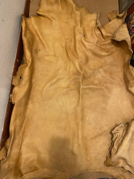 Tanned Leather Hide