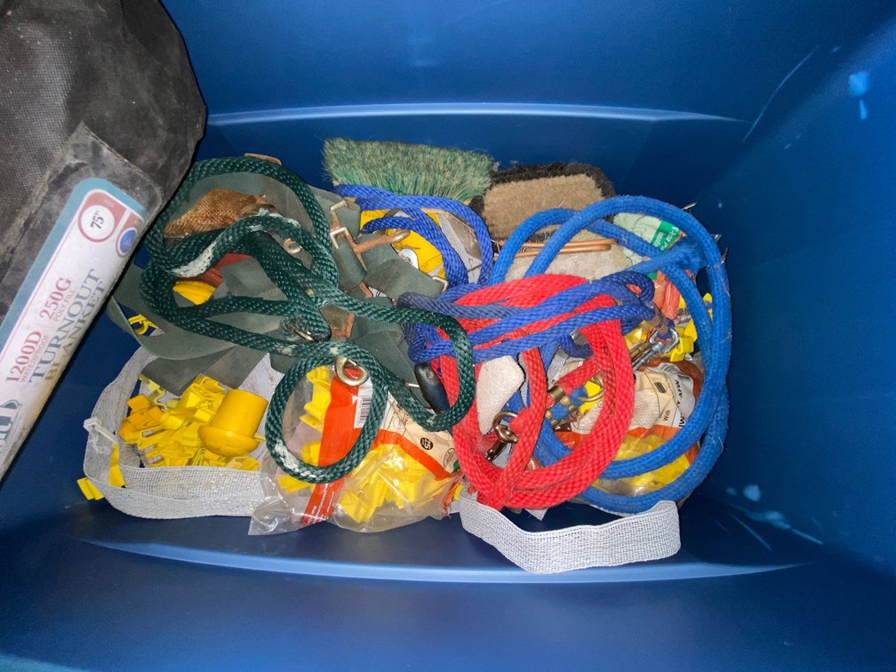 Horse Blankets & Related Items