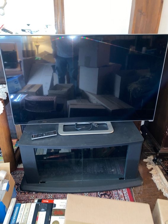 Vizio 48 in. Flat-Screen TV with Stand