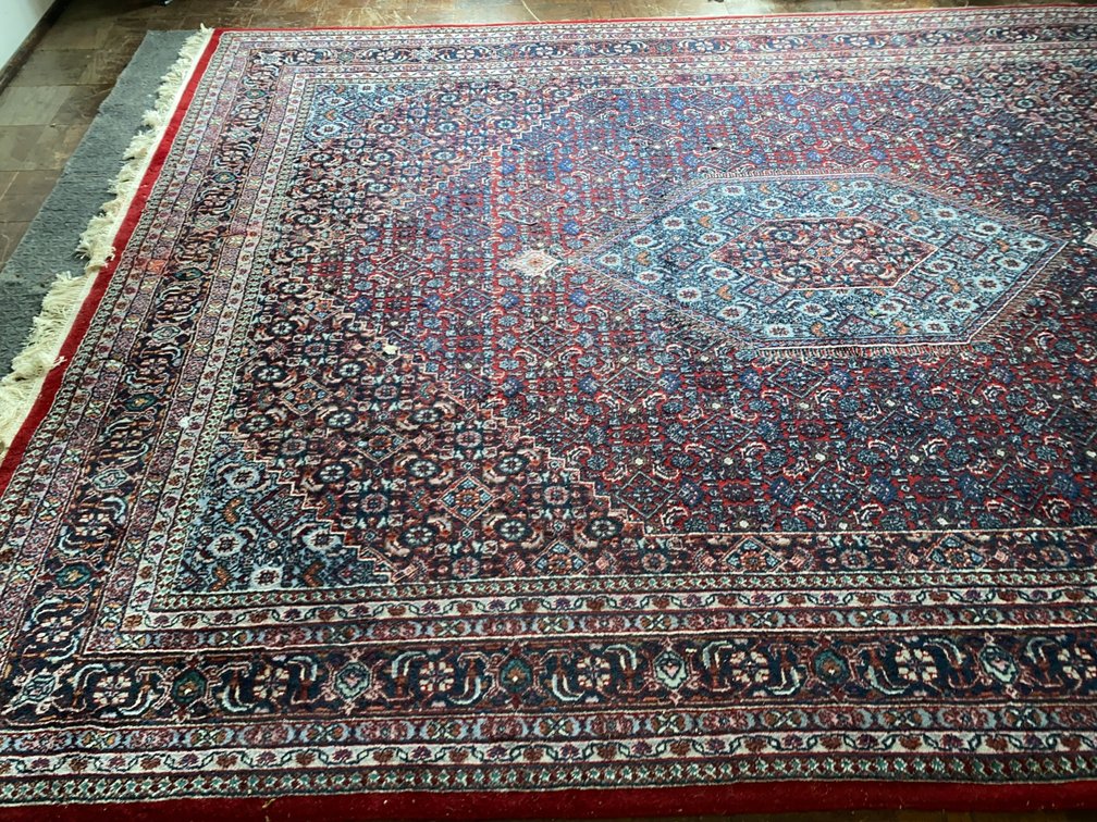 Persian-Style Floral Room Rug with Fringe
