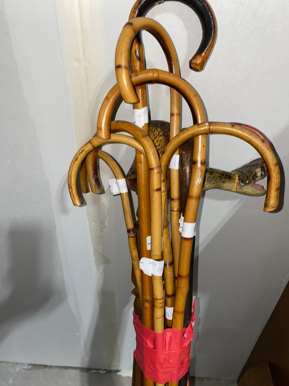 Wooden and Carved Canes