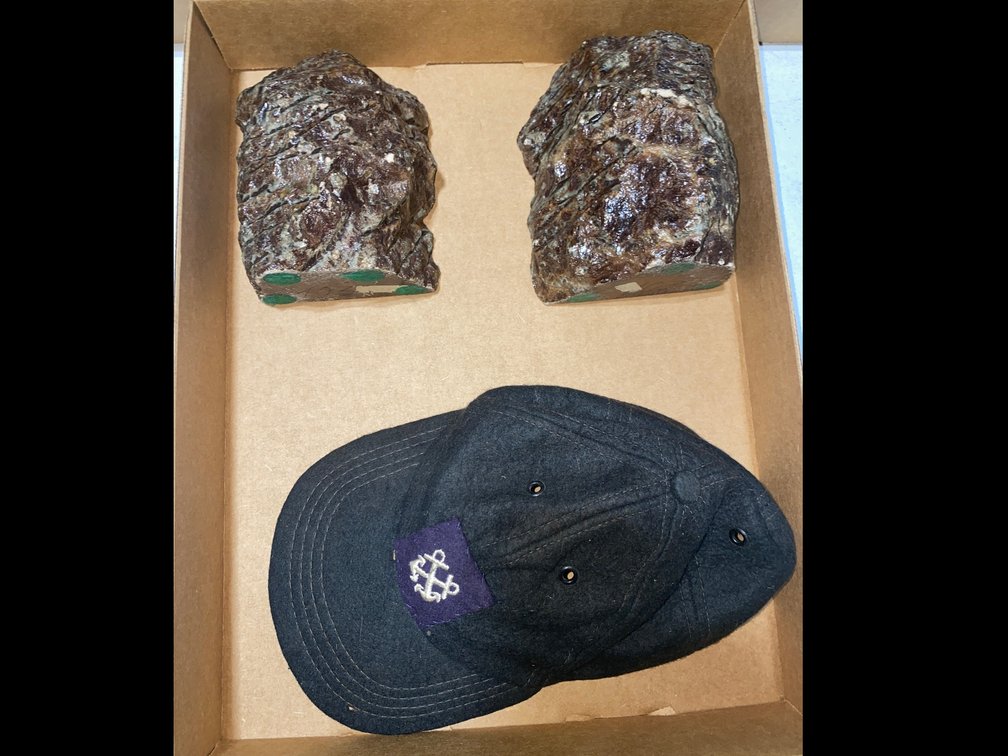 Petrified Wood Bookends and Hat