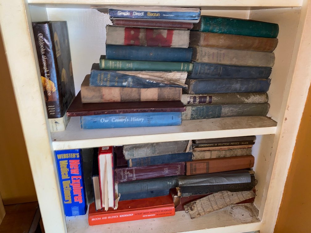 3-shelves of Books