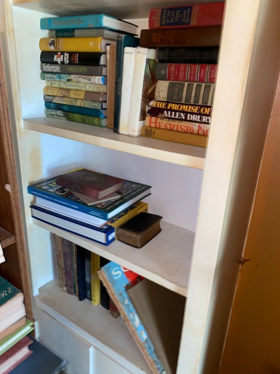 3-Shelves of Books