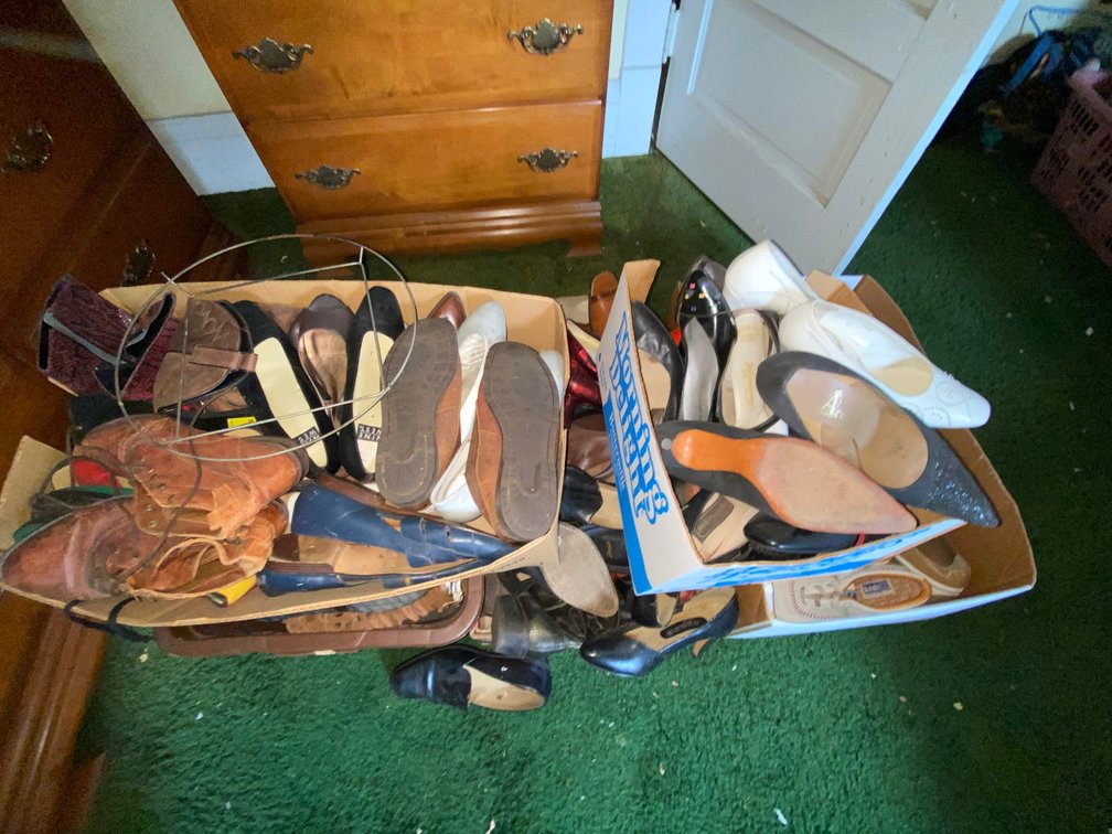 Collection of Women's Shoes and Boots