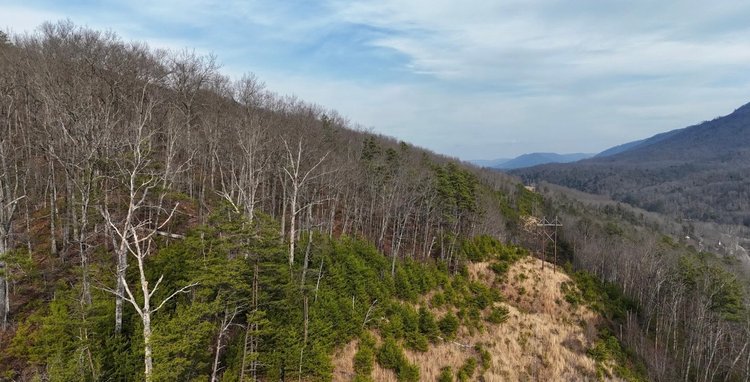 Image for 138 Acres Prime for Hunting & Recreation in Cumberland, KY