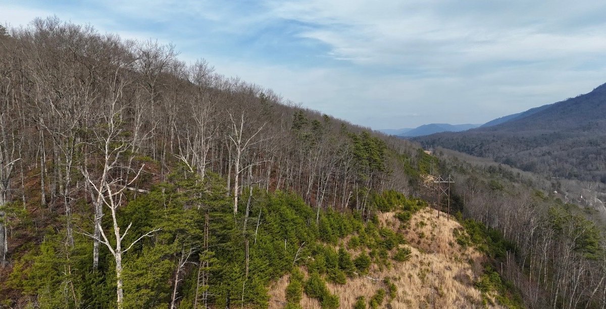 Image for 138 Acres Prime for Hunting & Recreation in Cumberland, KY