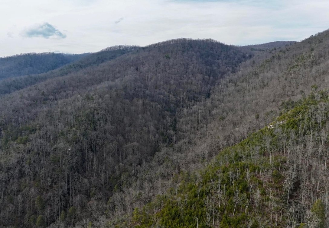 Image for 138 Acres Prime for Hunting & Recreation in Cumberland, KY
