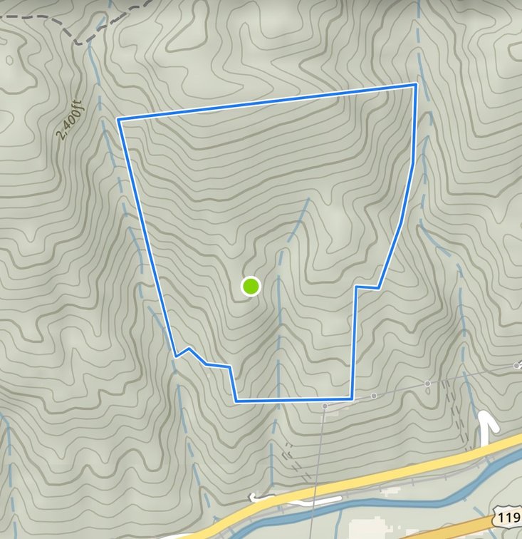 Image for 138 Acres Prime for Hunting & Recreation in Cumberland, KY