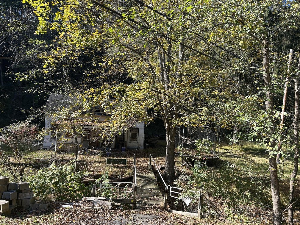 Image for 2 Bedroom Project Home on a Large Lot in Rivesville Selling to the Highest Bidder