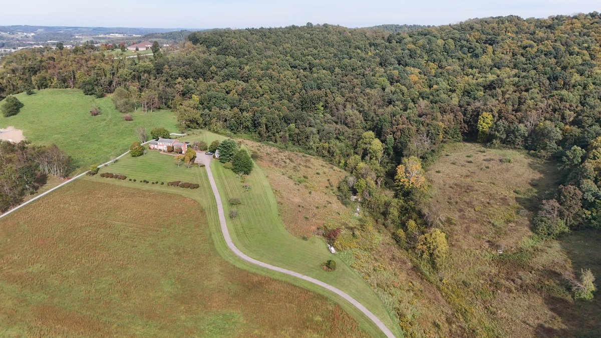 Image for All Brick 4 Bedroom Colonial on 50 Acres in Greene County