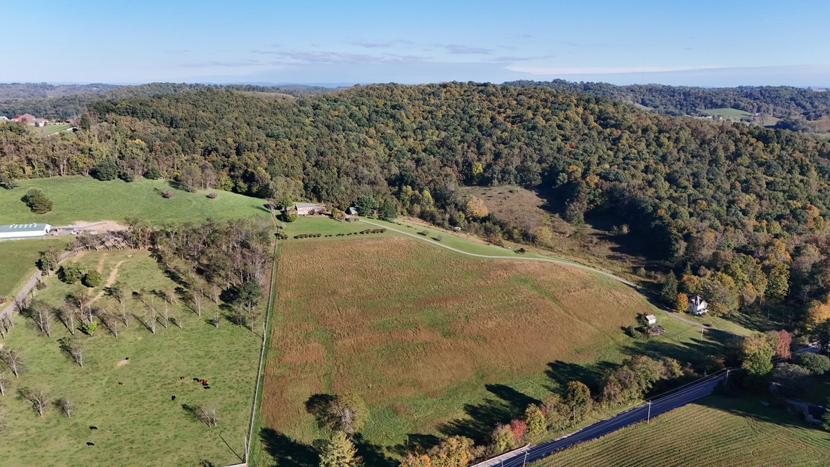 Image for All Brick 4 Bedroom Colonial on 50 Acres in Greene County
