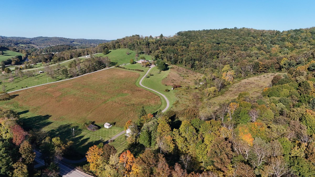Image for All Brick 4 Bedroom Colonial on 50 Acres in Greene County