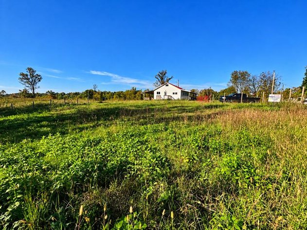 Image for 53 Acre Farm with 3 Bedroom Ranch Home in Red House