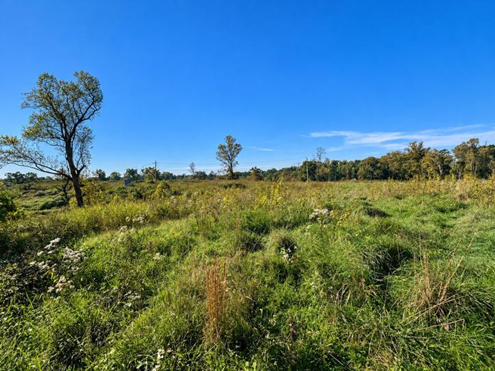 Image for 53 Acre Farm with 3 Bedroom Ranch Home in Red House