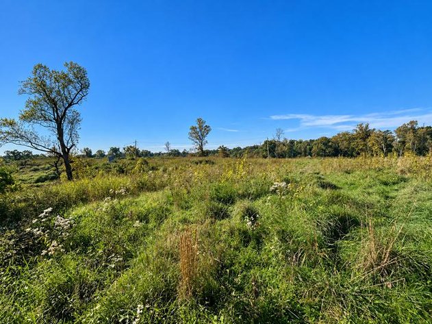 Image for 53 Acre Farm with 3 Bedroom Ranch Home in Red House