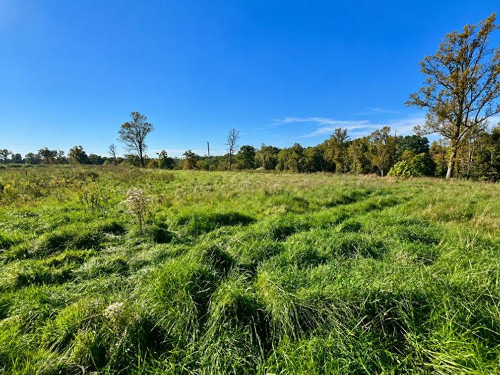 Image for 53 Acre Farm with 3 Bedroom Ranch Home in Red House