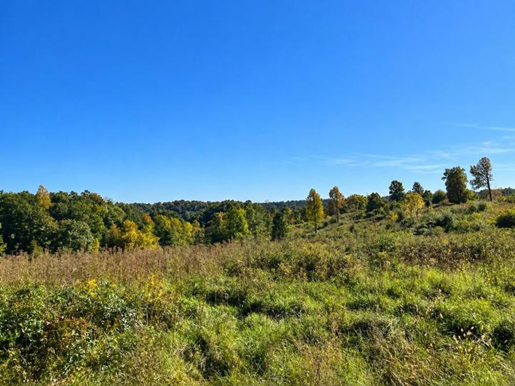Image for 53 Acre Farm with 3 Bedroom Ranch Home in Red House