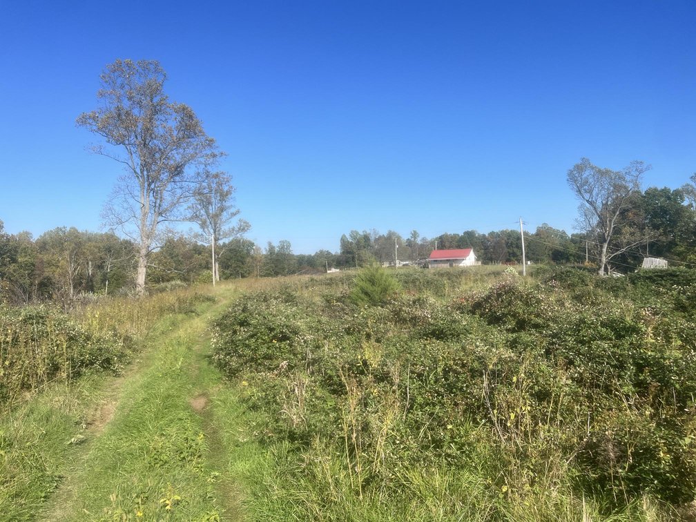 Image for 53 Acre Farm with 3 Bedroom Ranch Home in Red House