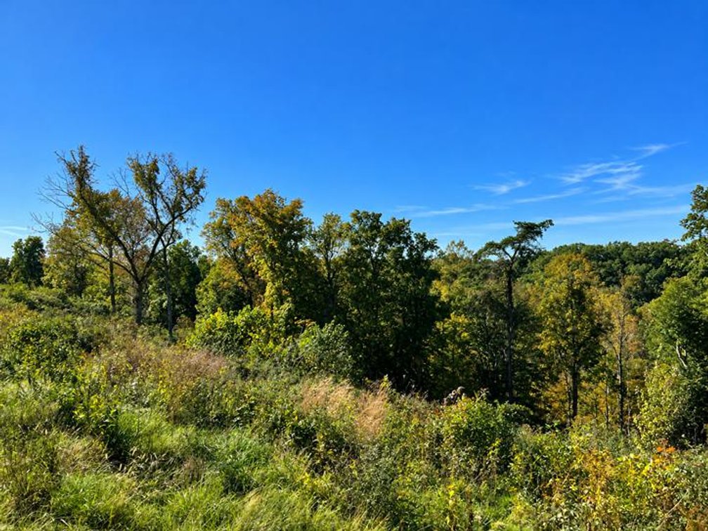 Image for 53 Acre Farm with 3 Bedroom Ranch Home in Red House