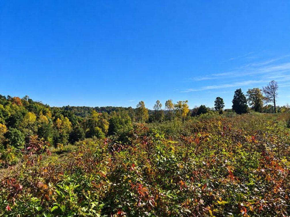 Image for 53 Acre Farm with 3 Bedroom Ranch Home in Red House