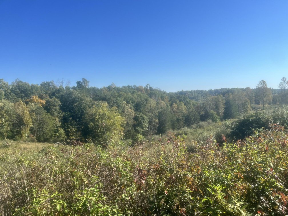 Image for 53 Acre Farm with 3 Bedroom Ranch Home in Red House