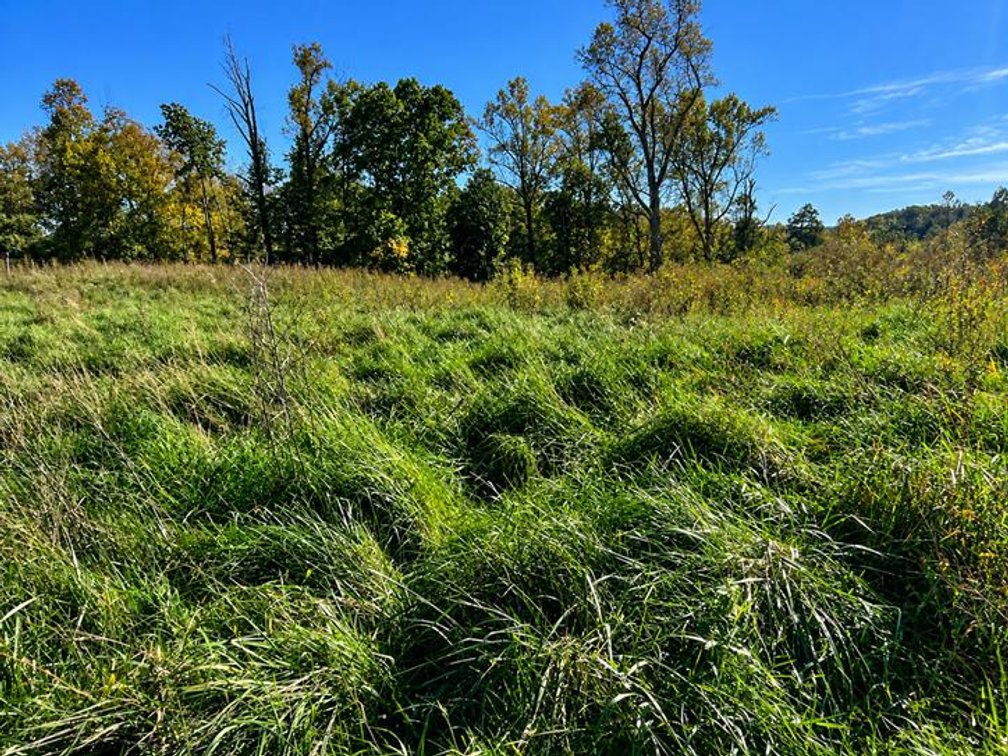Image for 53 Acre Farm with 3 Bedroom Ranch Home in Red House